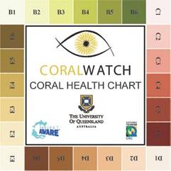 CoralWatch Coral Health Chart